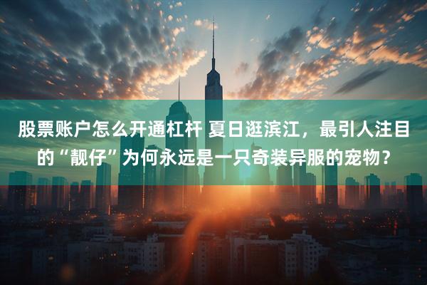 股票账户怎么开通杠杆 夏日逛滨江，最引人注目的“靓仔”为何永远是一只奇装异服的宠物？