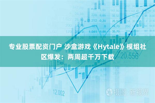 专业股票配资门户 沙盒游戏《Hytale》模组社区爆发：两周超千万下载